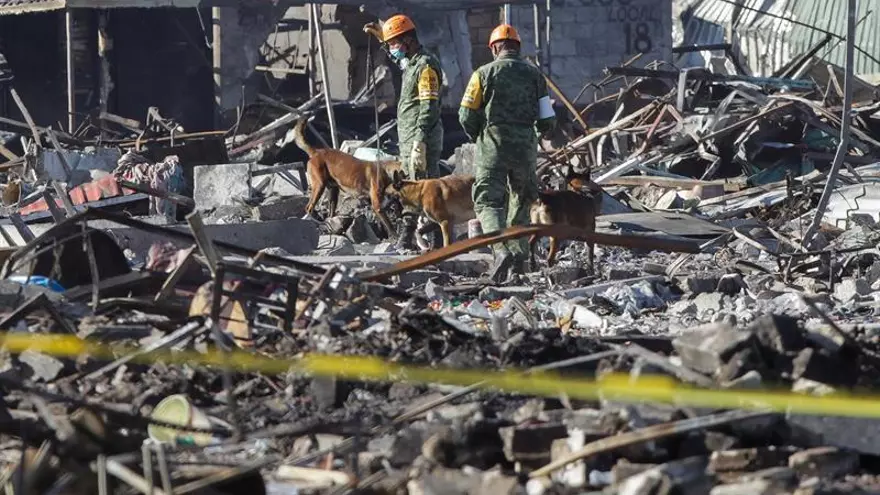 Personal del ejercito mexicano realiza labores de búsqueda y rescato con perros entrenados hoy, miércoles 21 de diciembre de 2016, en la zona donde se registró la explosión en el Mercado de Pirotecnia de San Pablito, en el municipio mexicano de Tultepec (México).