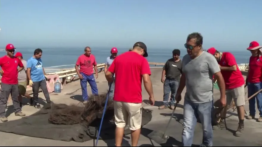 Trabajadores chilenos terminan huelga en la mayor mina de cobre