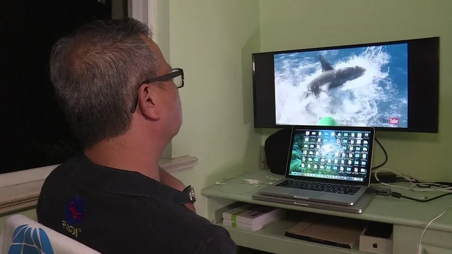 Buceador pasó segundos en una jaula con un gran tiburón blanco