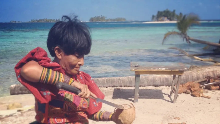 Los cocos que hay en la isla son de los Guna, pero nadie te va a impedir comerte todos los que caigan cerca de ti