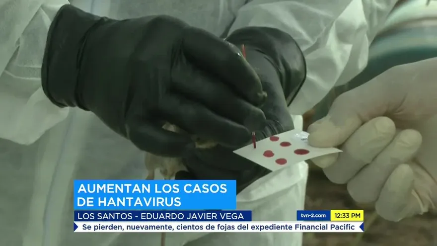 Aumentan casos de hantavirus en Los Santos