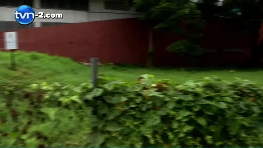 Insistirán en incluir tasa de aseo en factura de luz