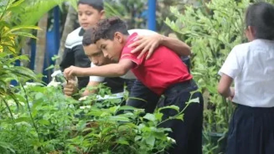 Escuela del Mono Araña, iniciativa de la Fundación Pro Eco Azuero