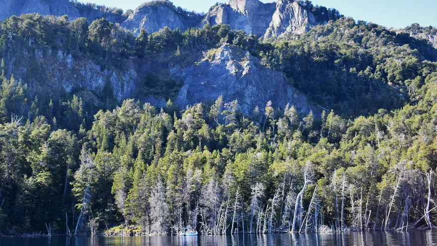 Parte del peculiar bosque sumergido de Villa Traful.