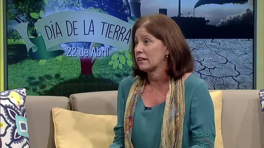 Panamá necesita más educación ambiental