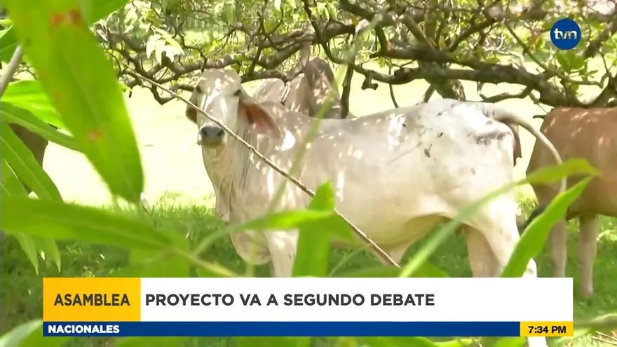 Aprueban en primer debate creación de Fondo de Desarrollo Ganadero