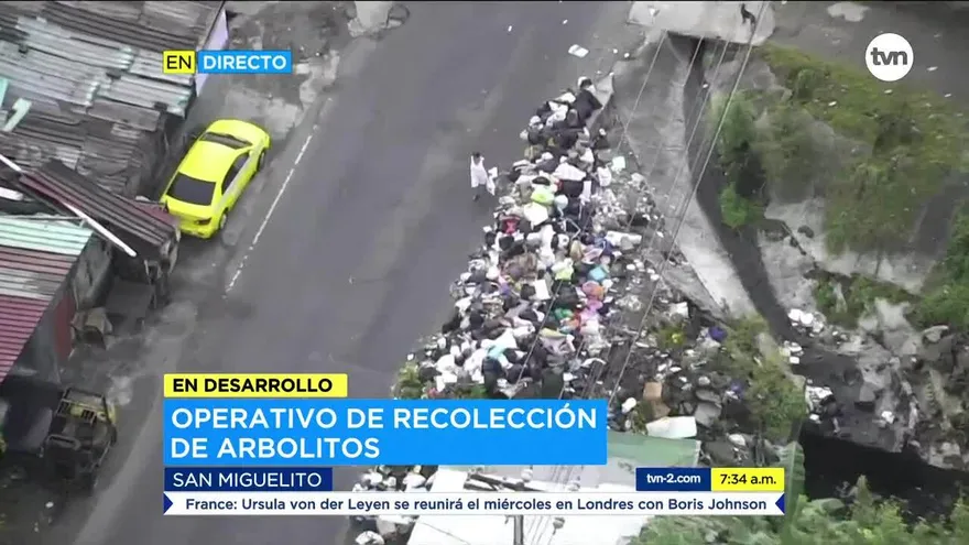 Preparan operativos para recolectar arbolitos de Navidad