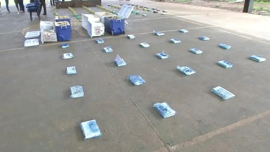 Escondían drogas en tucas de madera y hieleras de marisco