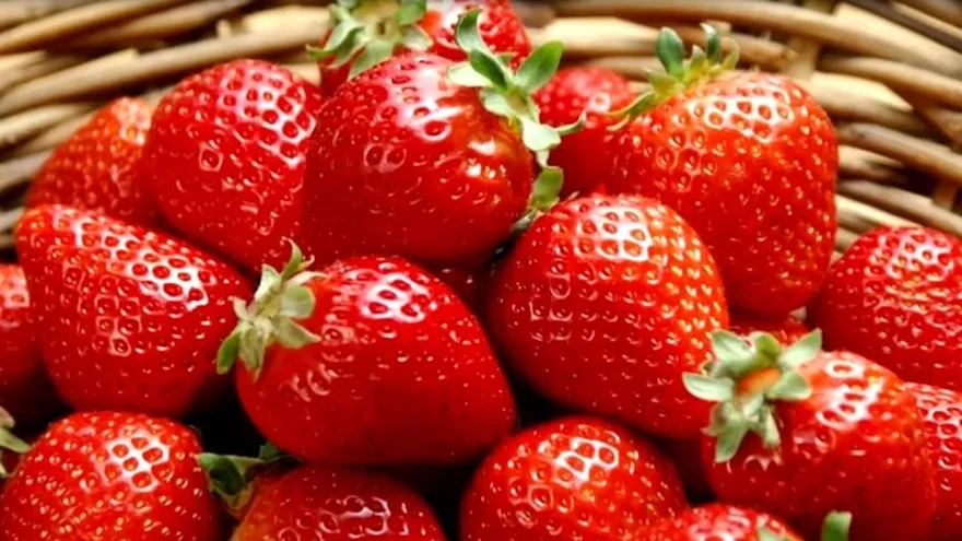 Estética -  Tips como mejorar las ojeras