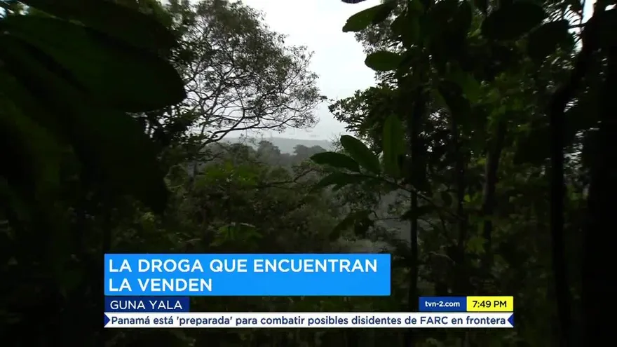 Congreso General Guna crea una Oficina Antinarcóticos