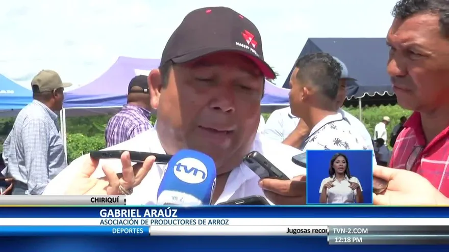 Estabilizan la producción de arroz en Chiriquí