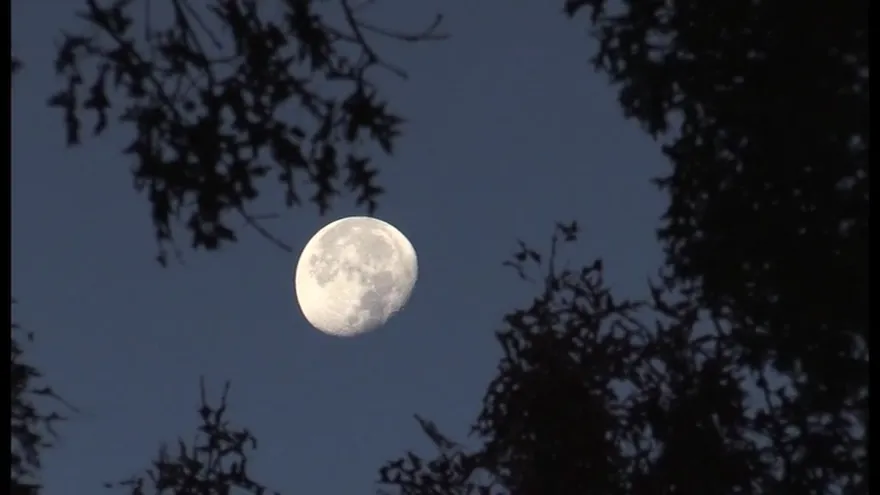 Estados Unidos se prepara para celebrar Halloween