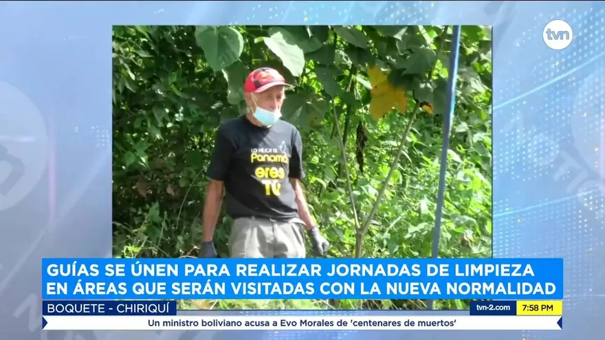 Guías turísticos se unen para realizar jornadas de limpieza.