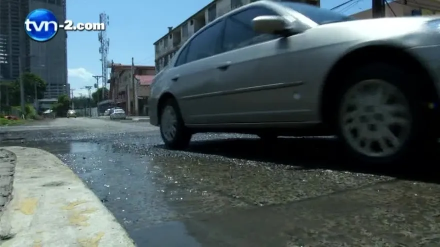 Preocupa proliferación de ratas