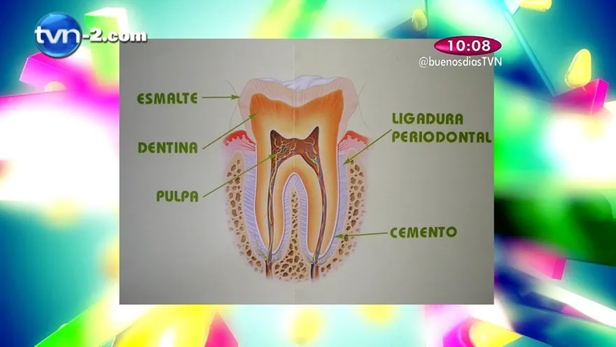 Segmento Salud Dental "Sensibilidad Dental:Que causa y como resolver el problema"