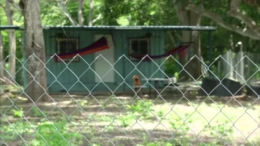 Supuesto terreno que pertenecía a Noriega genera polémica