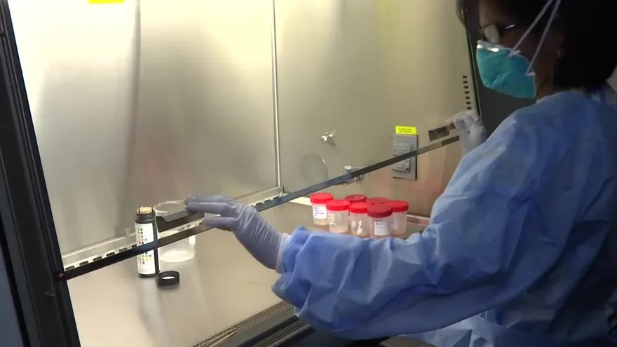 ¿Qué significa que el país declarara alerta sanitaria por Tuberculosis?