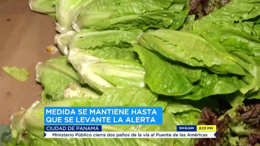 Las medidas de higiene que debe conocer para manipular alimentos