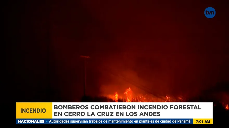 Bomberos atendieron incendio en el cerro La Cruz en Los Andes