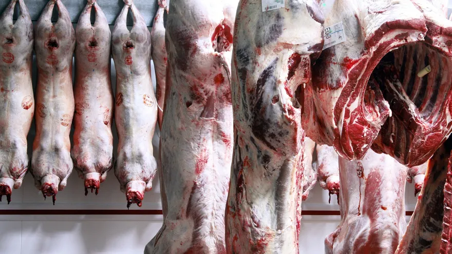 Decomisan más de dos toneladas de carne en mal estado tras o
