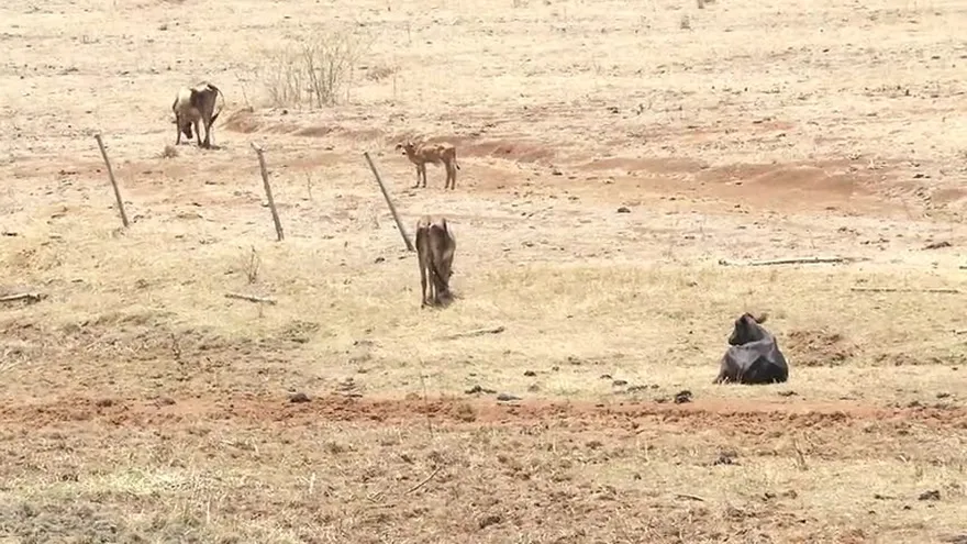 ACP mantiene restricciones de calado