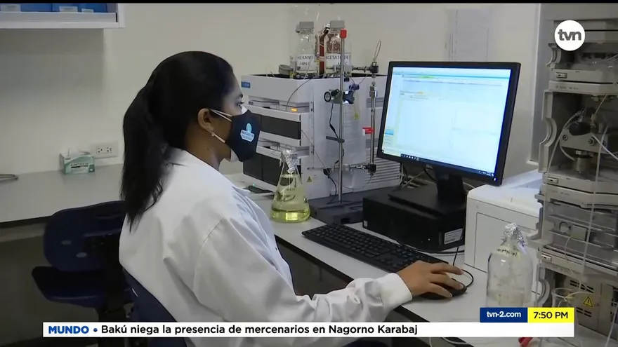 Estudian un hongo que pueda fortalecer el sistema inmunológico