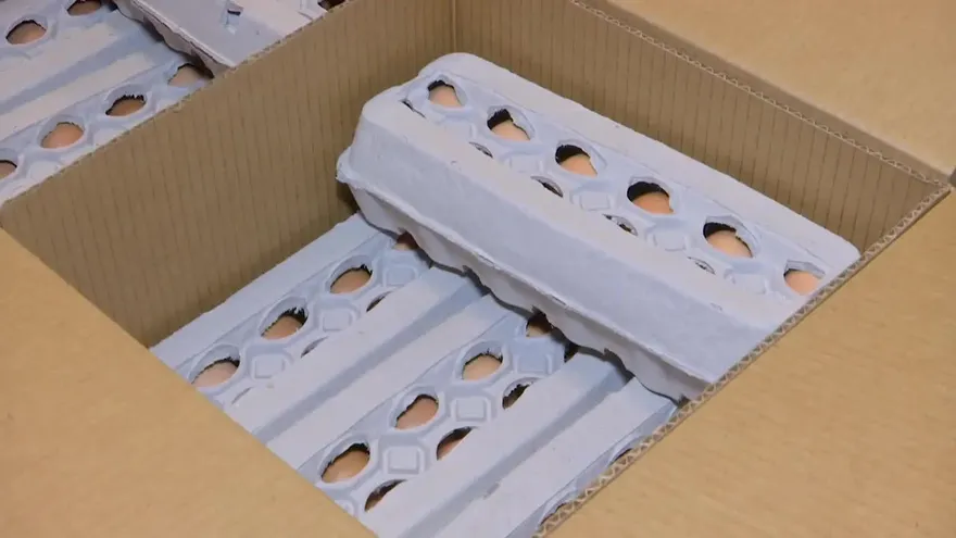 Productores avícolas protestan por falta de controles