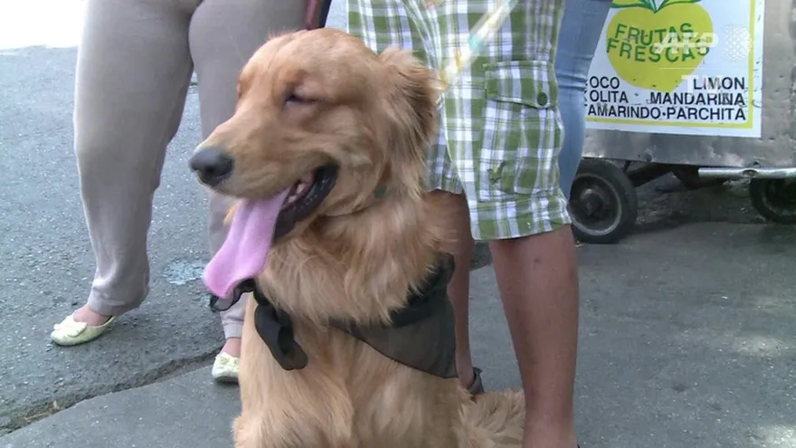 Mascotas también sufren escasez en Venezuela
