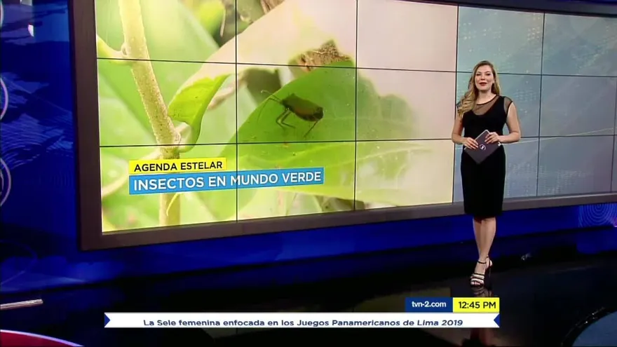 Noticiero MD 12 de abril del 2019 - Bloque 3