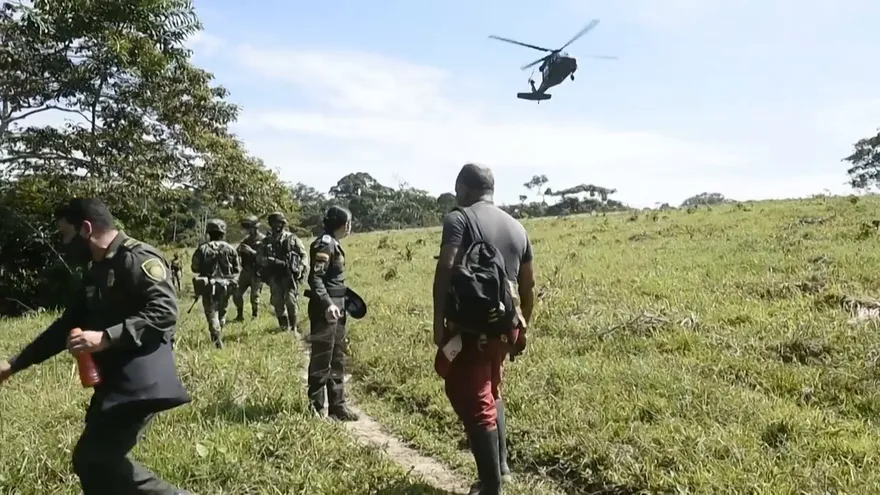 Ocho capturados en operación contra la deforestación en Colombia