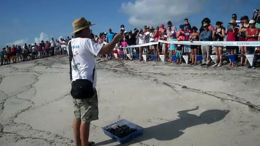 Calentamiento amenaza a nidos