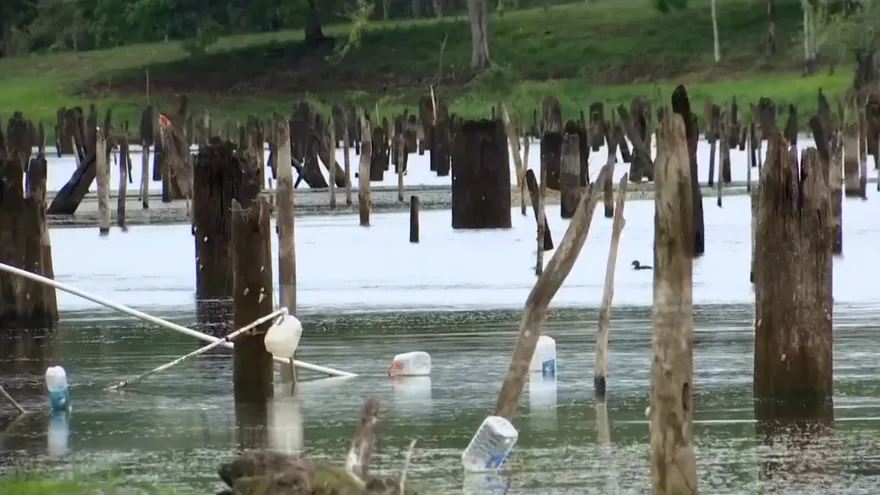 El lago Gatún disminuye progresivamente. Estos son los testimonios