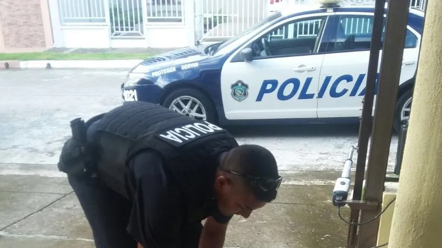 Rescatan a perezoso en el sector de Brisas del Golf.