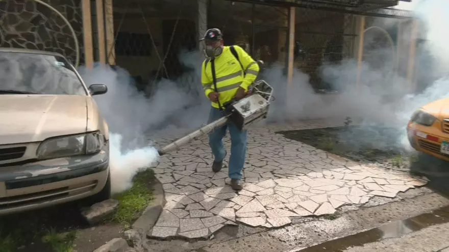 Operativo de fumigación en Río Abajo.