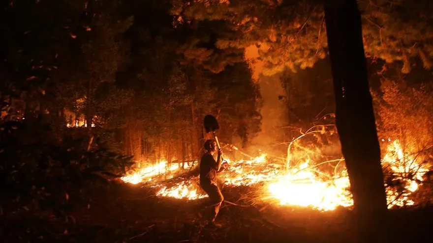 Un hombre trabaja en la contención de un incendio forestal hoy, miércoles 25 de enero de 2017, en la localidad de Vichuquen región del Maule, a unos 290 km al sur de Santiago, Chile.