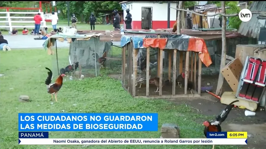 Aplican sanciones a retenidos en gallera clandestina