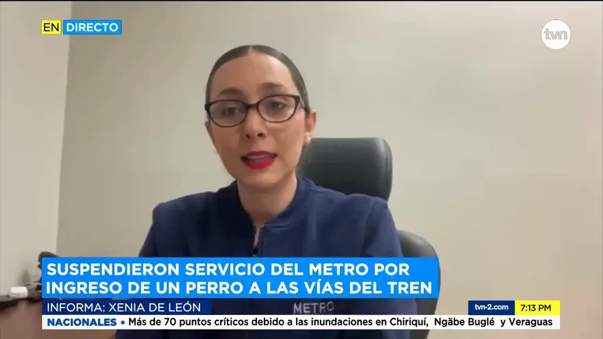 Ingreso de un perro paraliza la Línea 1 del Metro