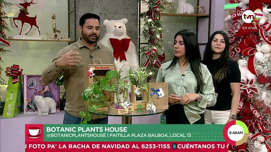 Botanic Plants House