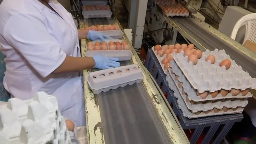 No aumentará el precio del huevo