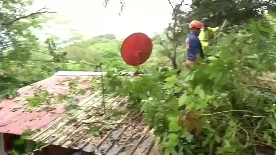 Árbol cae sobre  vivienda en Alcalde Díaz