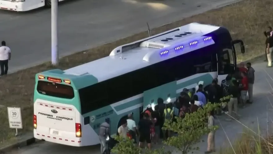 Buses de Chiriquí trasladarán a migrantes desde la capital