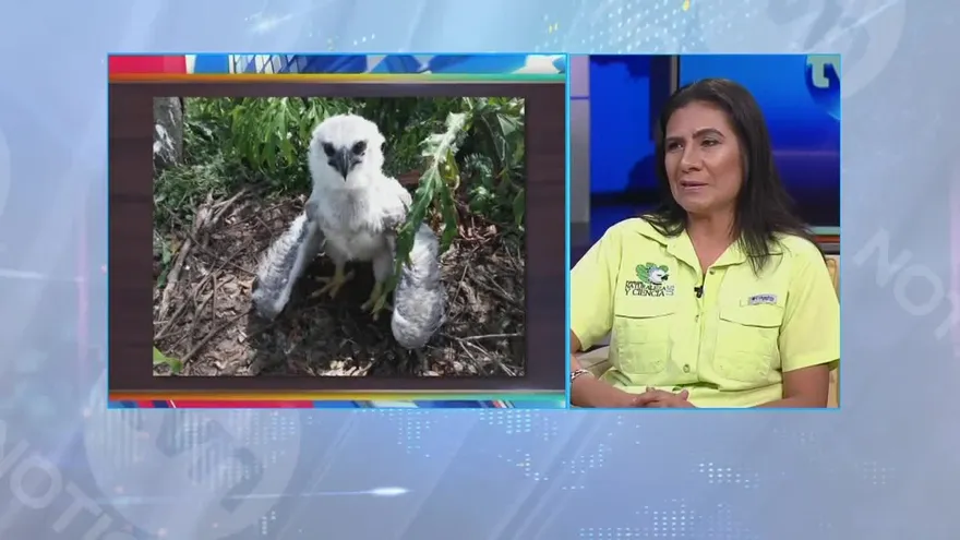 Noticiero AM 15 de agosto de 2017 - Bloque 7