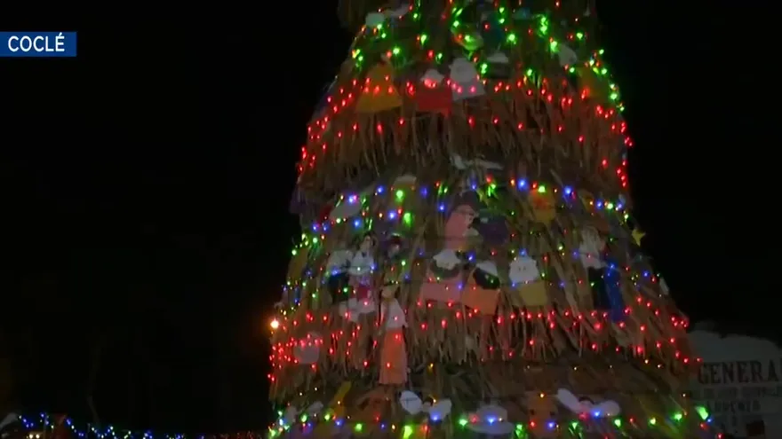 El curioso arbolito de pencas de El Cocal de Penonomé