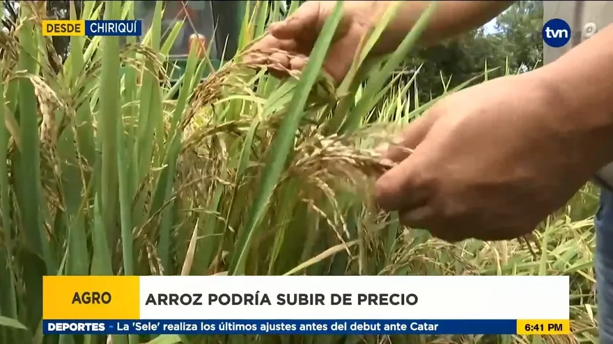 Productores solicitan diálogo ante incremente en costos para producir arroz