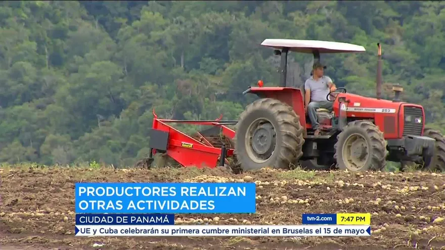 Vendedores de frutas y verduras denuncian pérdidas