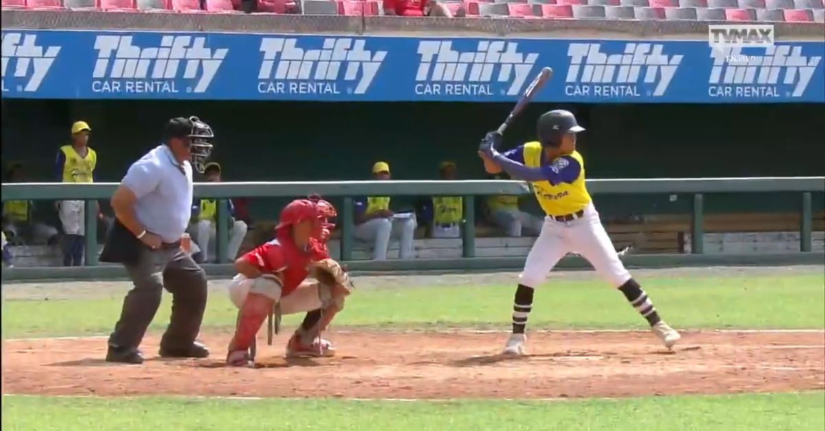 Rawlings | Bate De Béisbol De Madera Big Stick Elite | Juvenil - Perfil 151Y | Compuesto De Arce/bambú - 29 Pulgadas