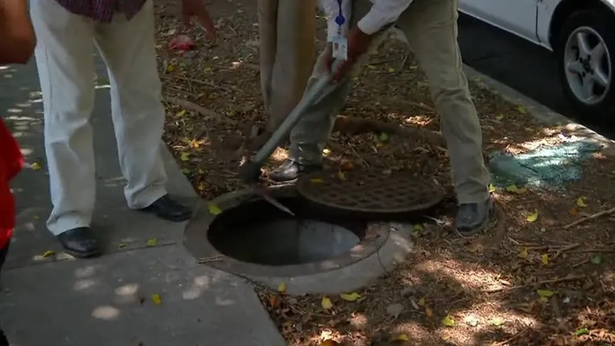 Basura y aguas negras afectan a residentes de Punta Pacífica