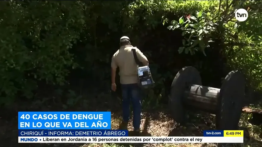 40 casos dengues se reportan en Chiriquí en lo que va del año