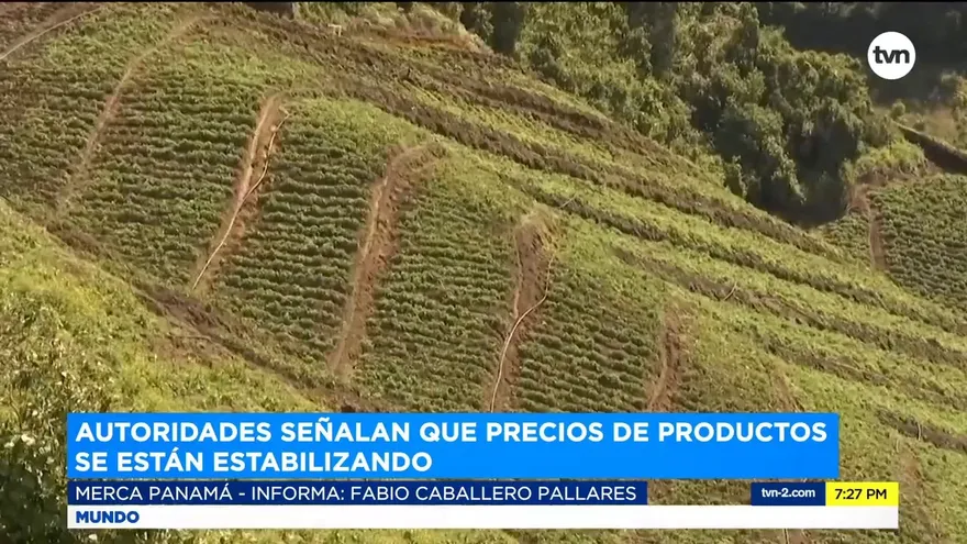 Autoridades mencionan que productos tienen tendencia a bajar de precio