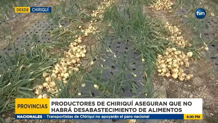 Seguridad alimentaria está garantizada hasta las últimas semanas del año